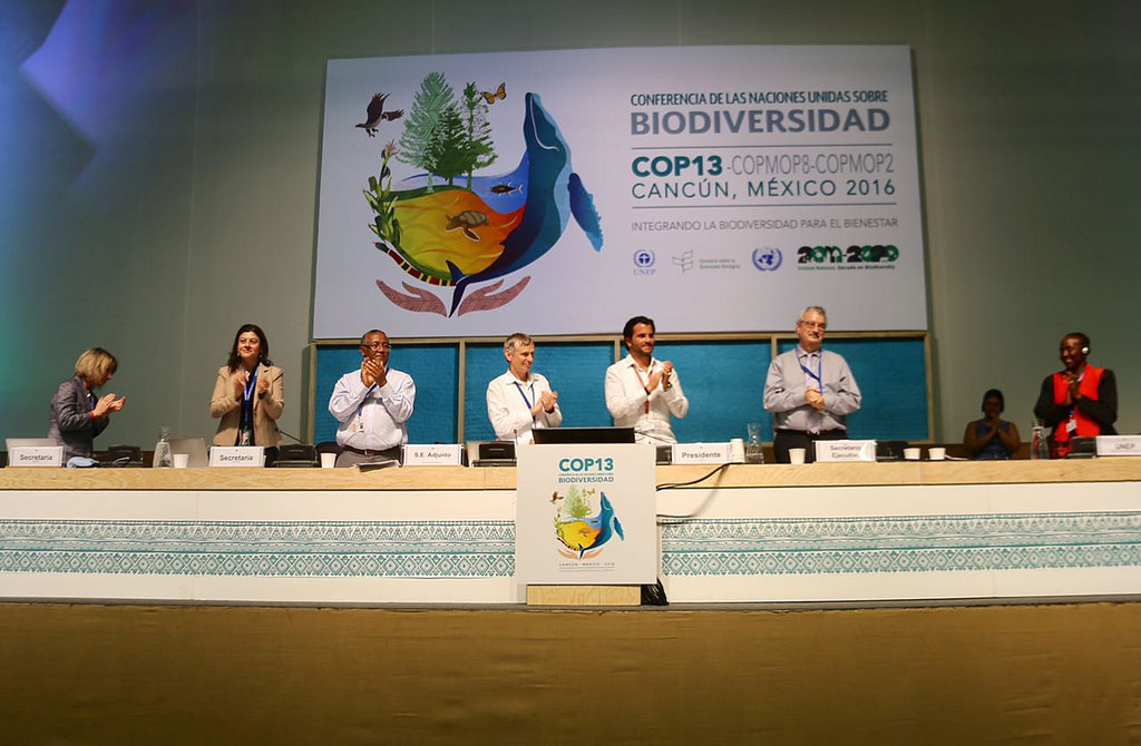 Cumbre histórica: COP13 de Cancún acuerda salvar la biodiversidad del&nbsp;mundo