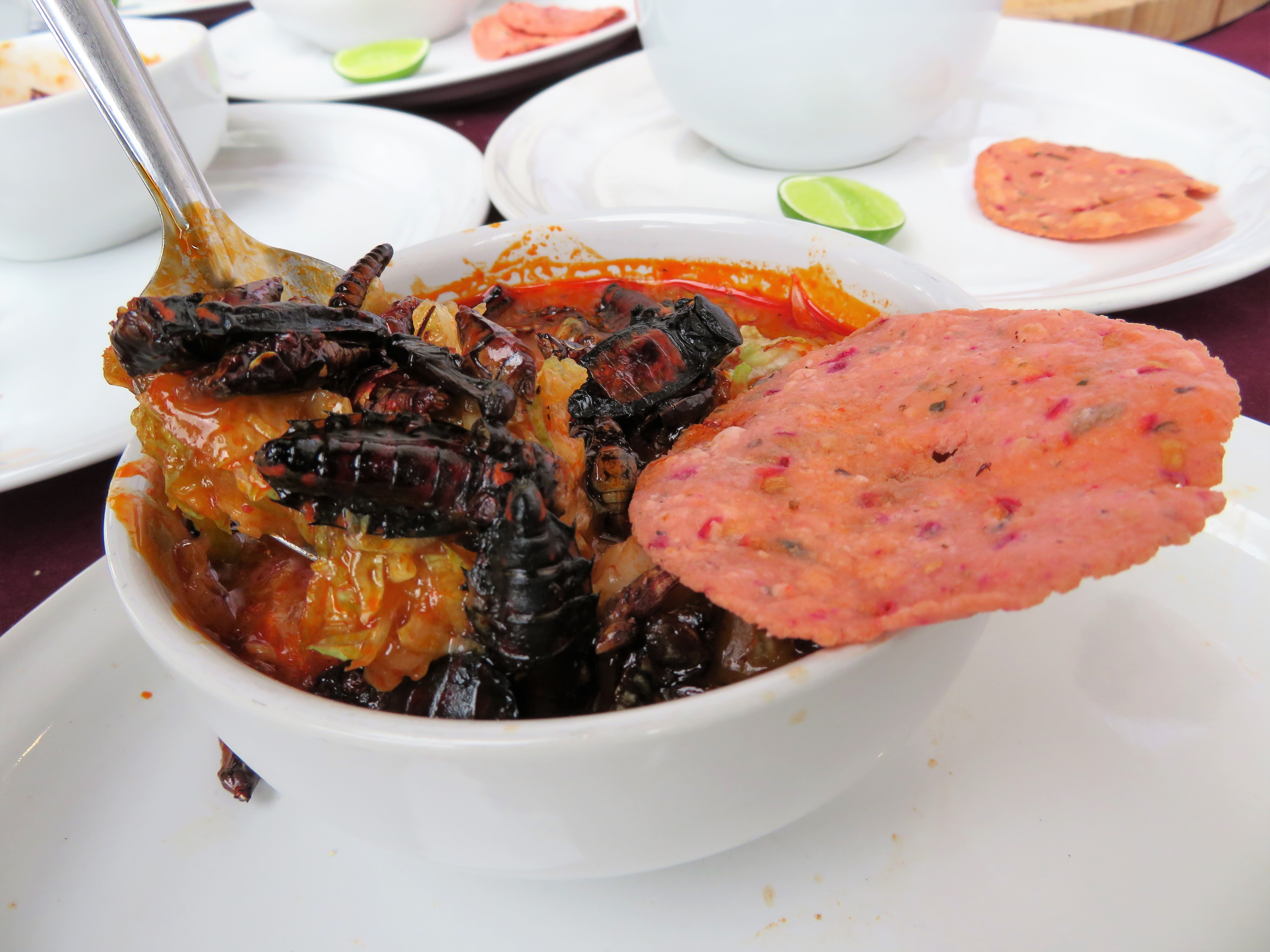 20181019_MUESTRA GRASTRONOMICA HIDALGO_DESDEABAJO (45)