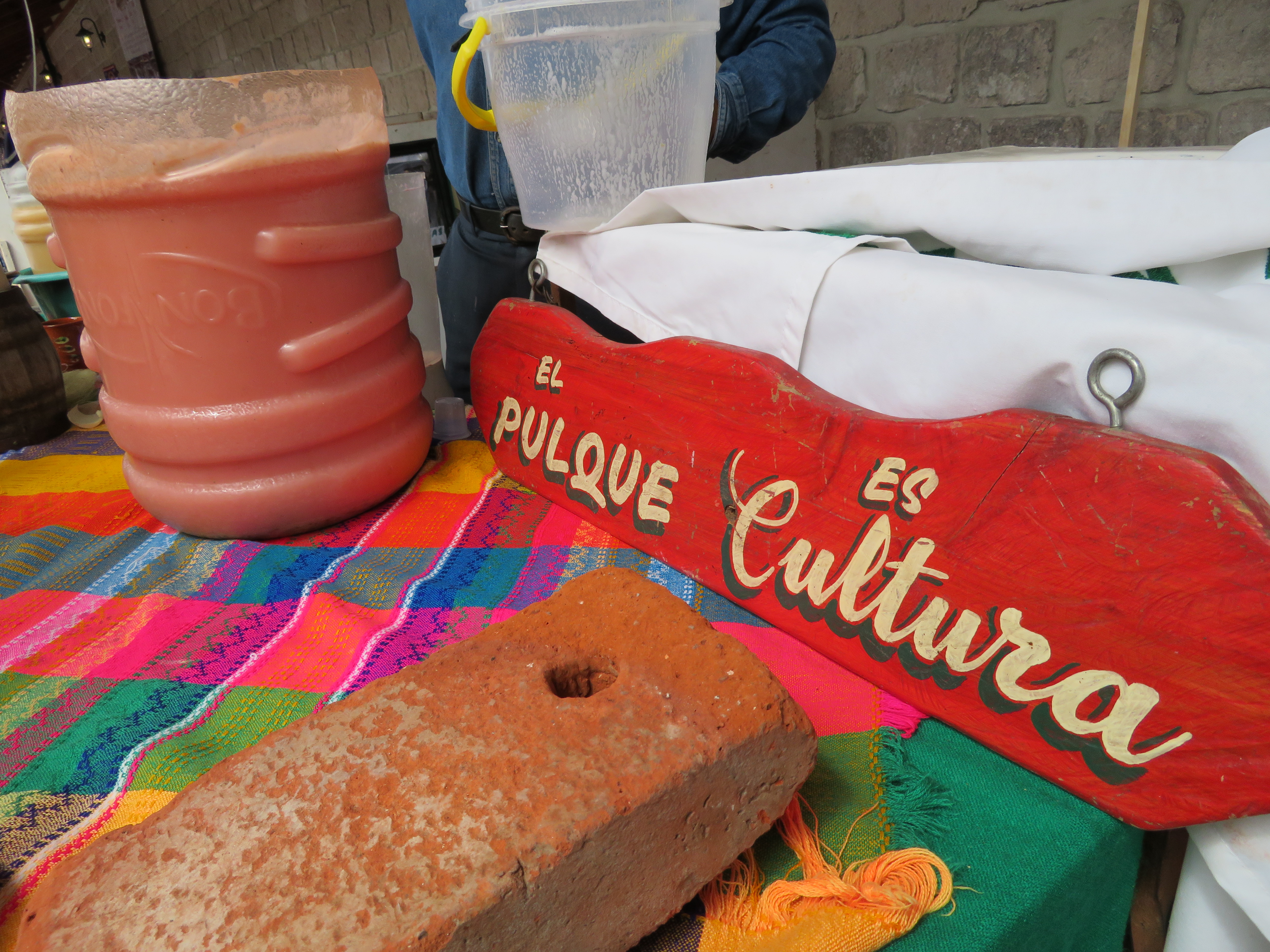 20181019_MUESTRA GRASTRONOMICA HIDALGO_DESDEABAJO (9)